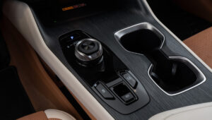lexus rz 500e brasil 6