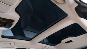 lexus rz 500e brasil 8