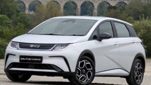 Byd Dolphin Cargo 1