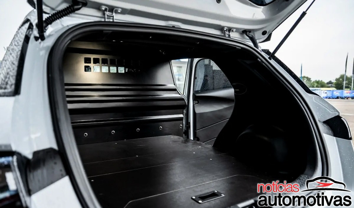 Byd Dolphin Cargo 3