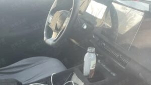Byd Dolphin G Interior Flagra