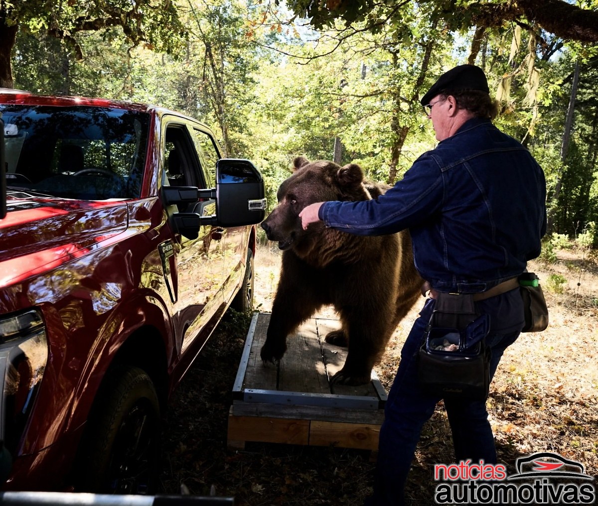 Ford Urso Seguranca 3