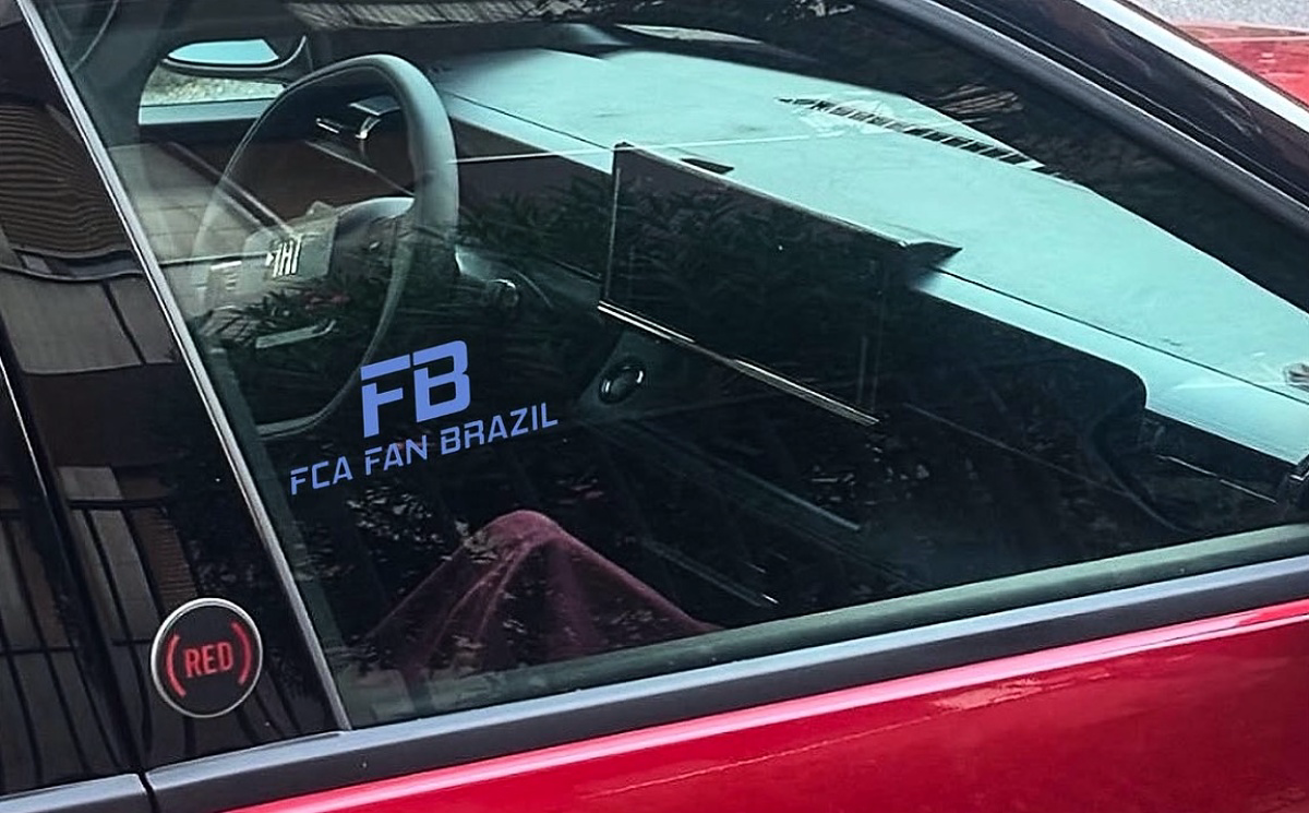 Grizzly Fastback Sem Marca 4