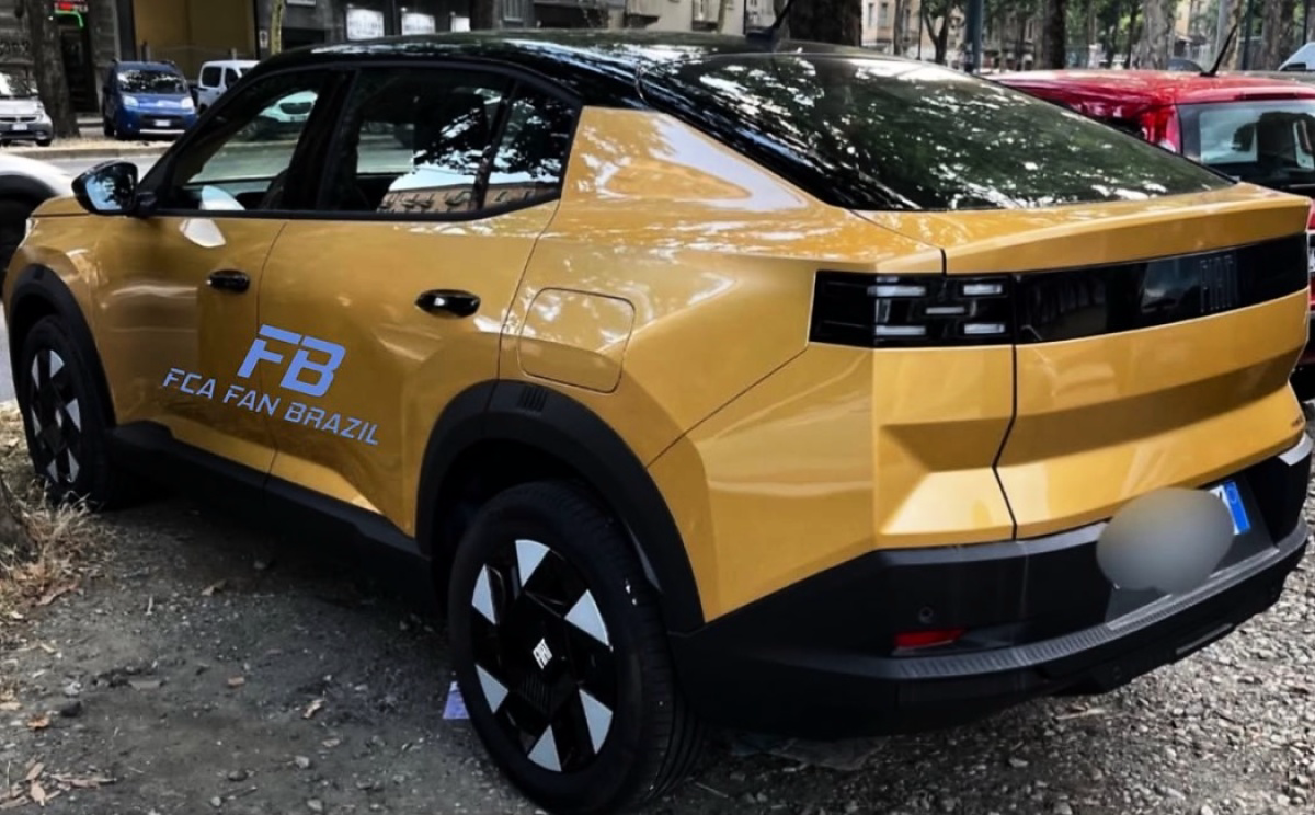 Grizzly Fastback Sem Marca 5