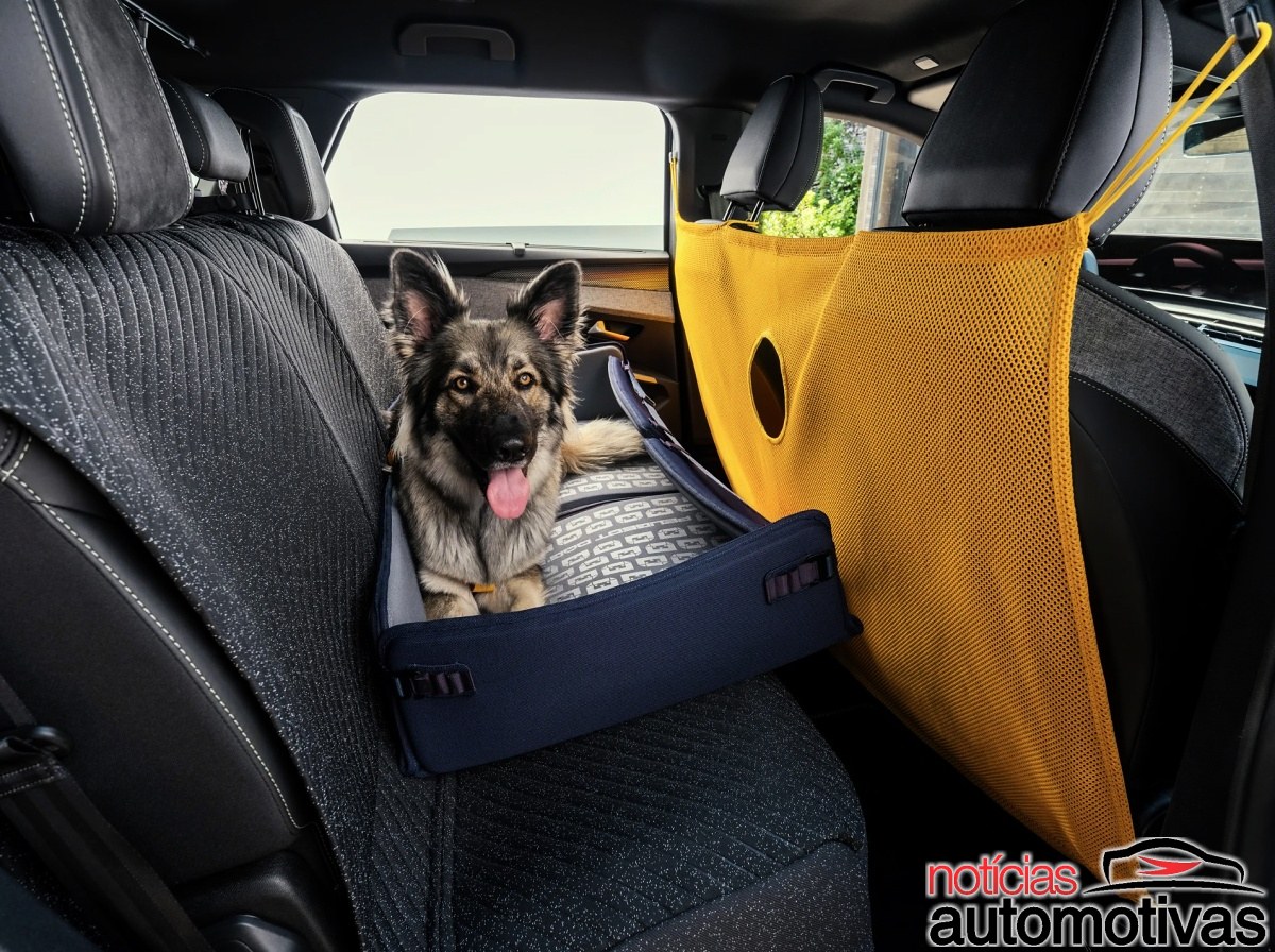 Peugeot E 5008 Dog Edition 1