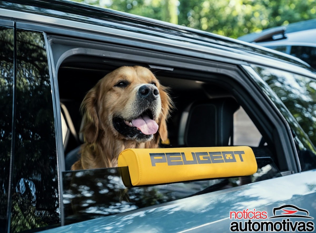 Peugeot E 5008 Dog Edition 2