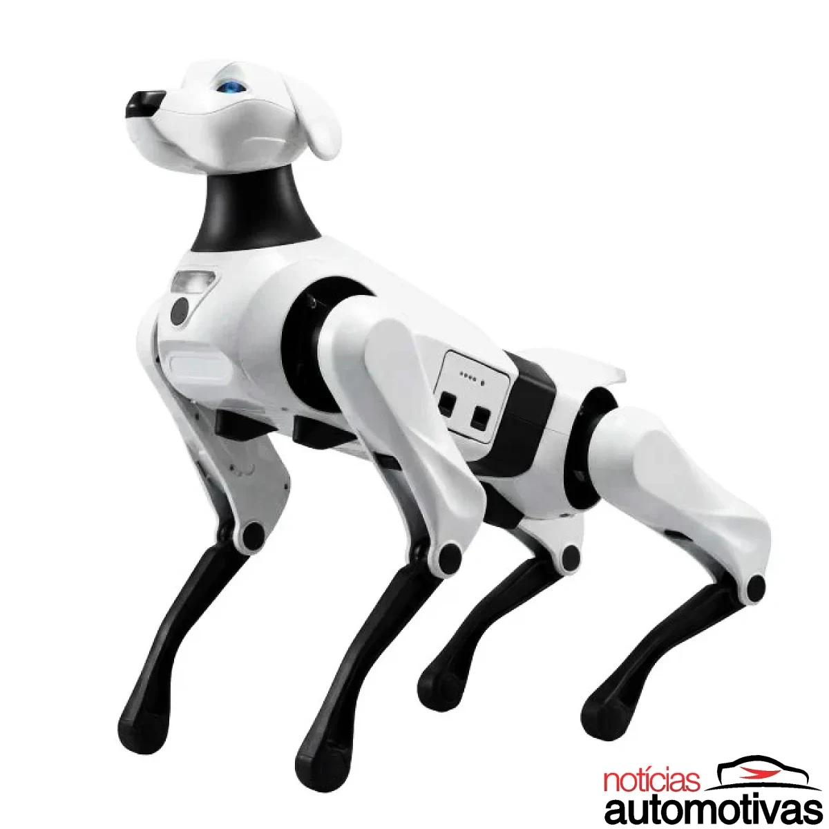 Aimoga Argos