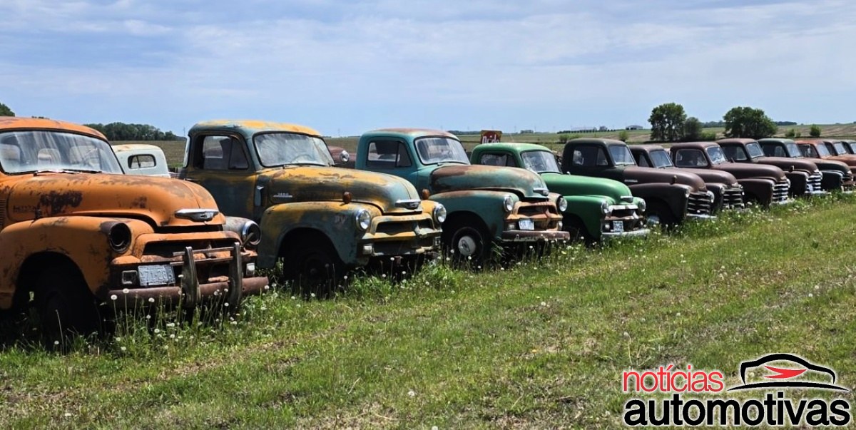 Fileira de picapes antigas em cores variadas, com sinais de ferrugem, estacionadas em um campo aberto.
