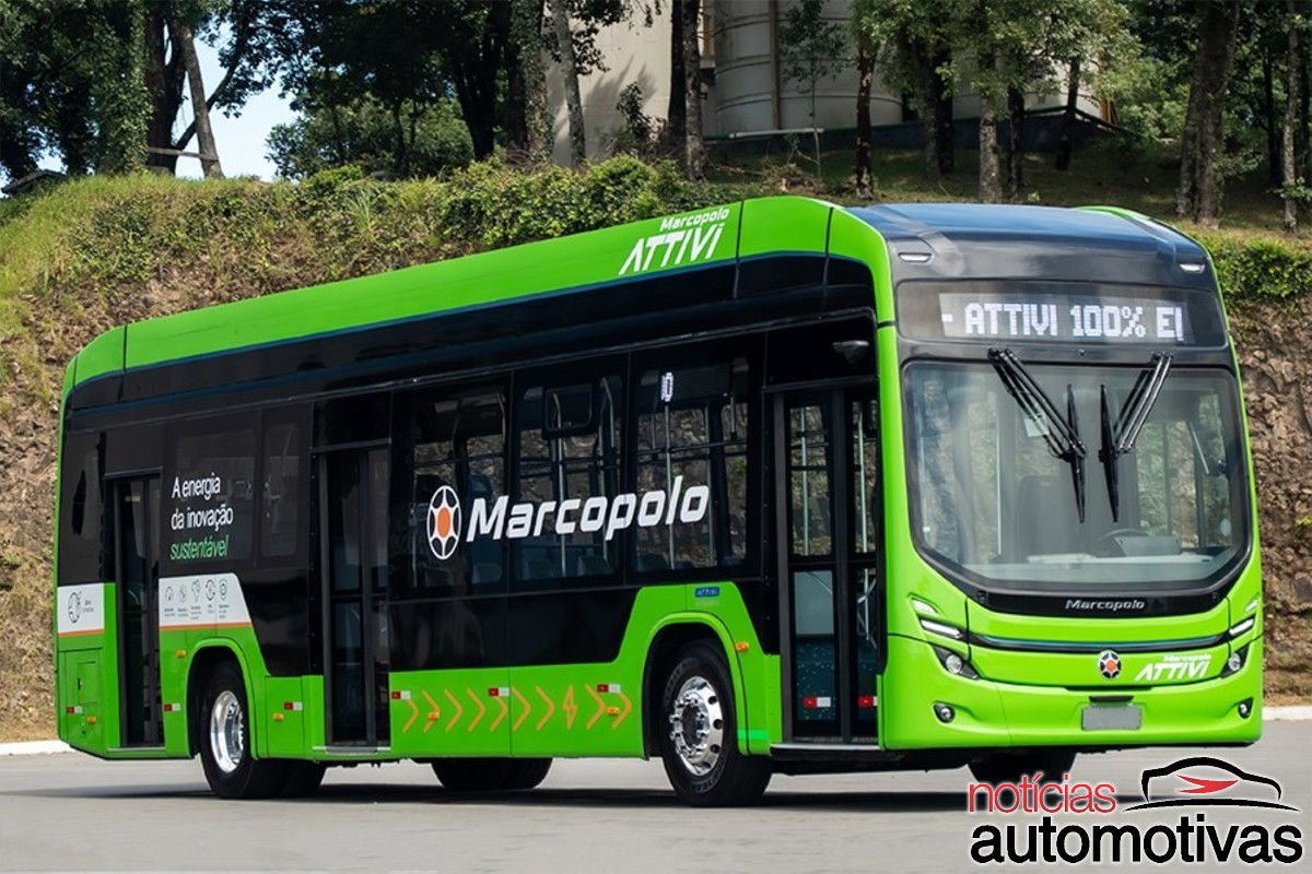 TN foto D Marcopolo Attivi ARENA ANTP 2025