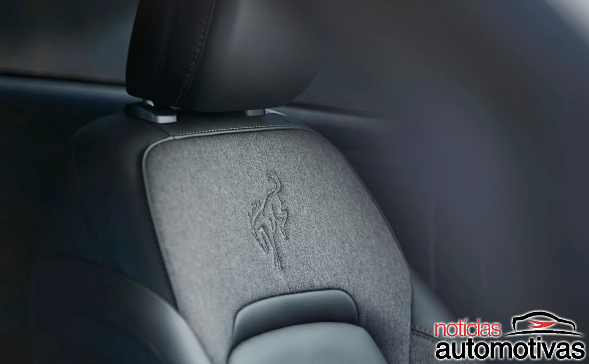 bronco sport bronze 9 bronco sport bronze 9