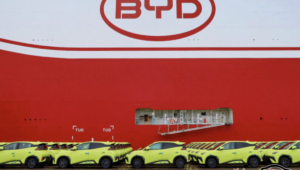 byd navio dolphin mini