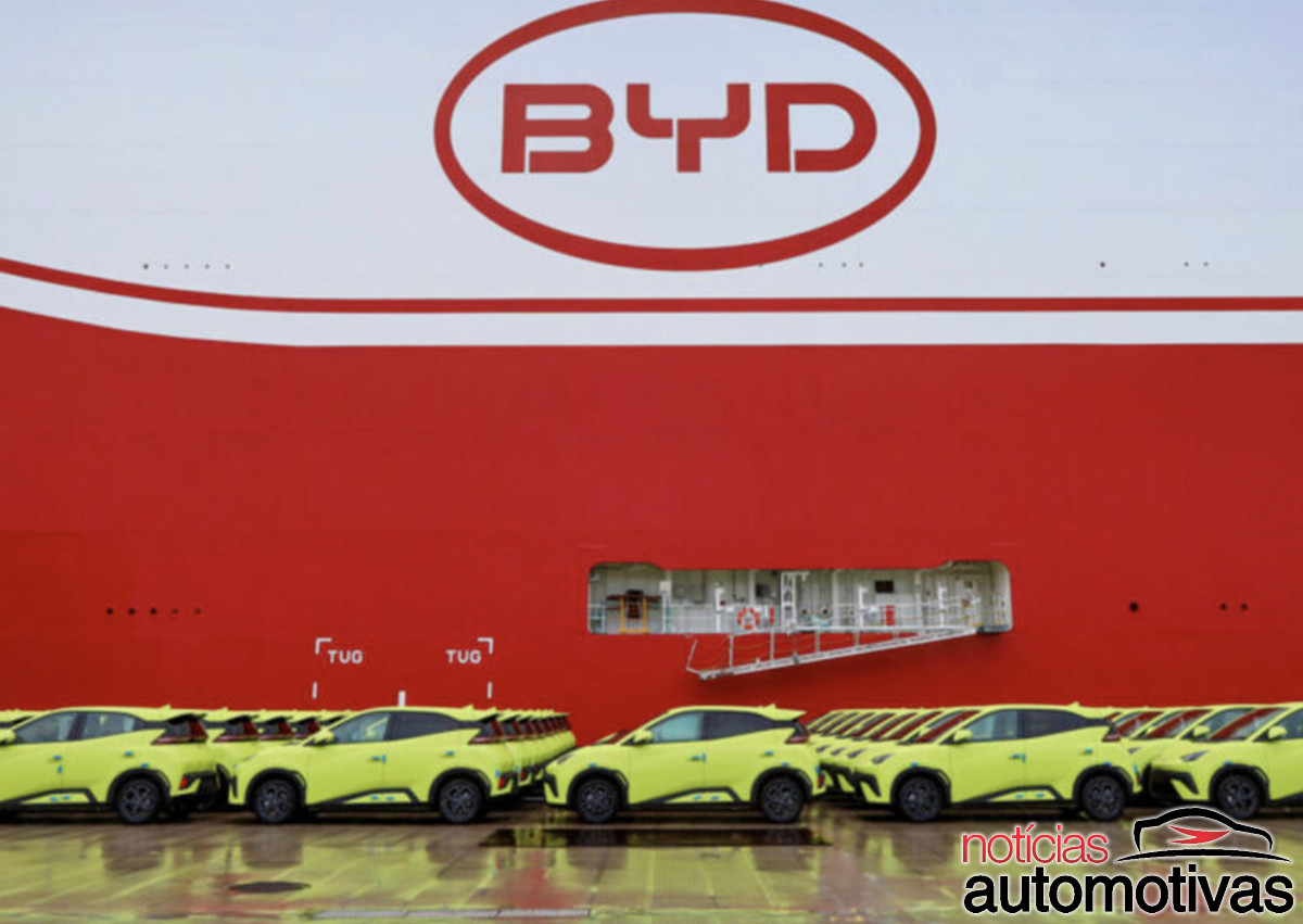 byd navio dolphin mini