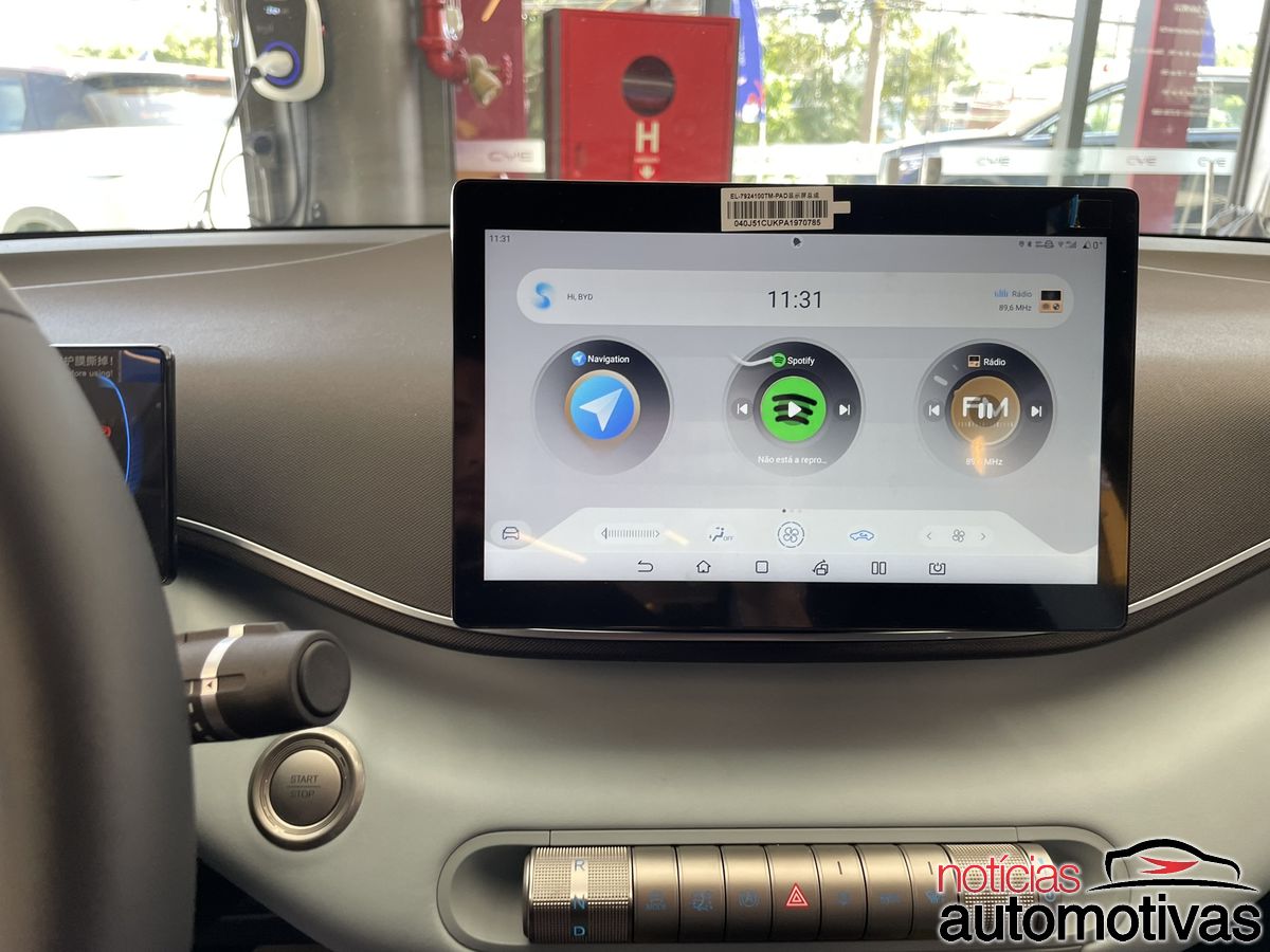 byd mini dolphin (15)