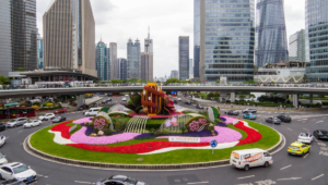 china rua transito carros (2)