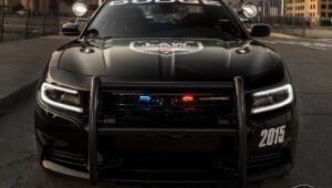 dodge charger pursuit (2)