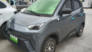 dolphin mini copia 1