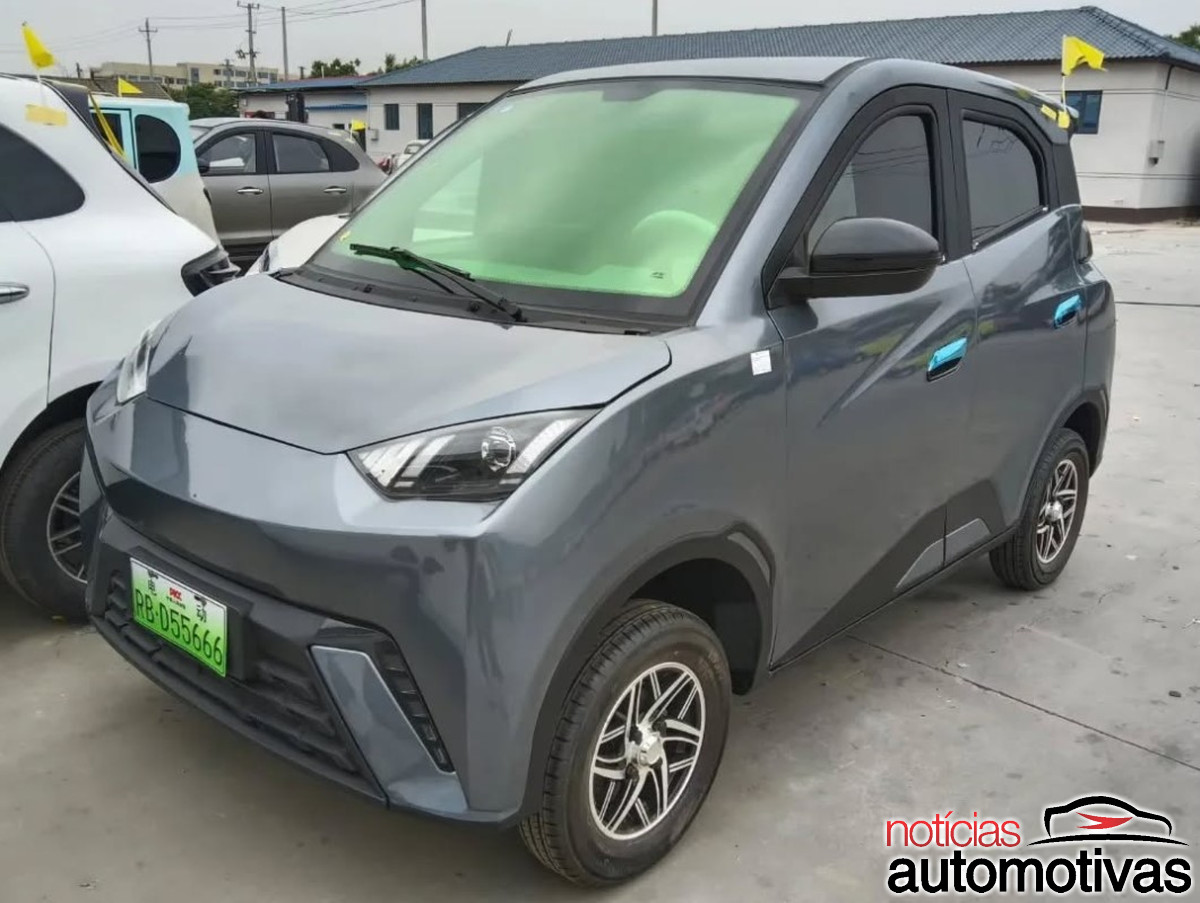 dolphin mini copia 1