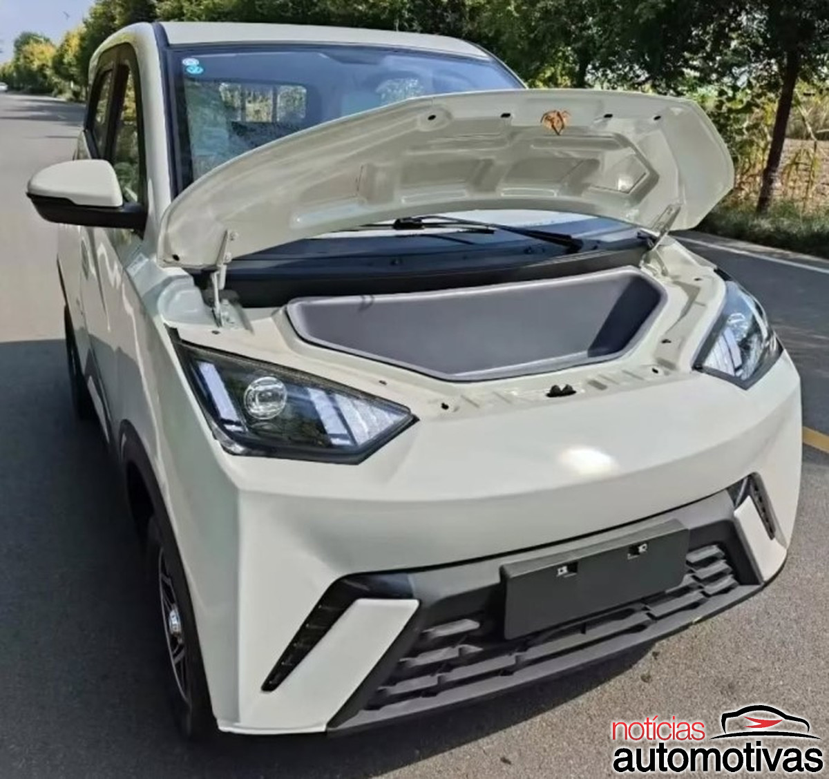 dolphin mini copia 2