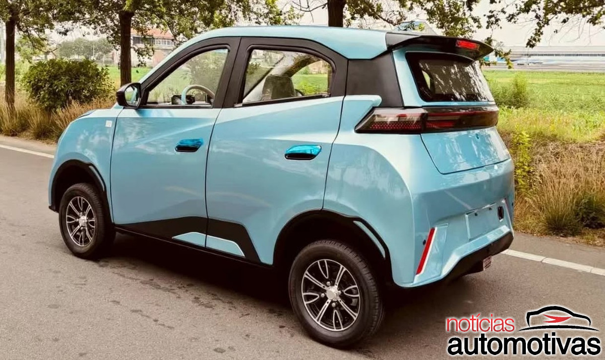 dolphin mini copia 3