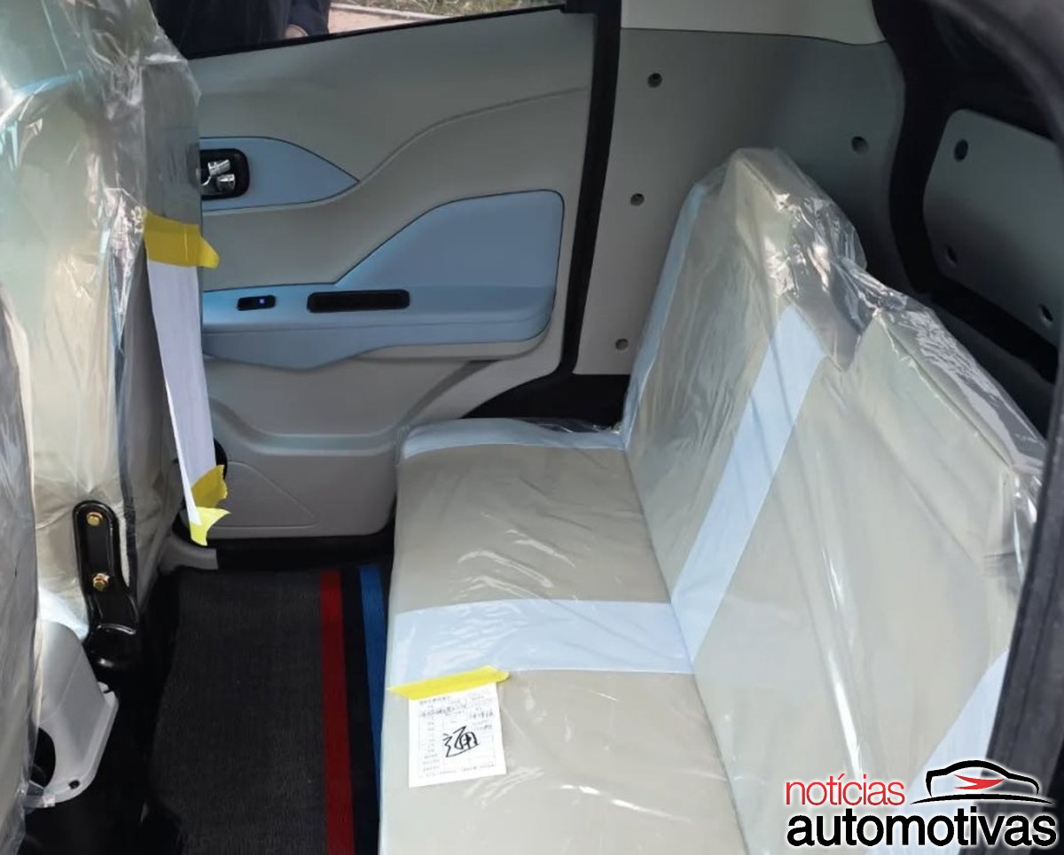 dolphin mini copia 5