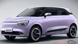 dongfeng nammi 01 (1)