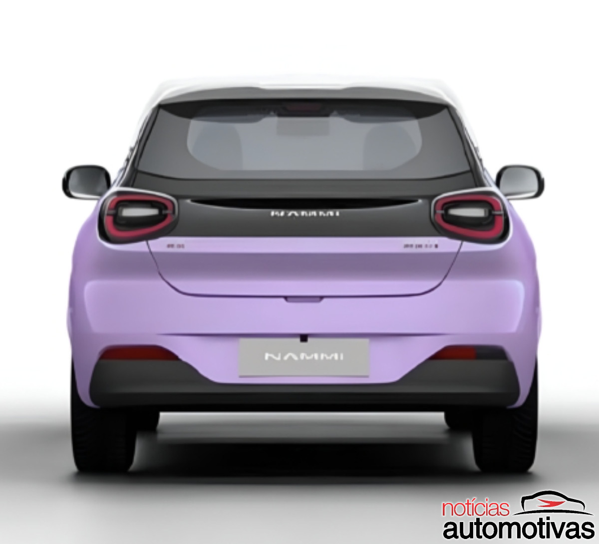 dongfeng nammi 01 (3)