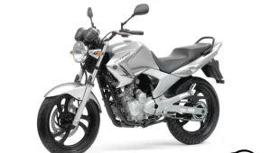 Fazer 250: detalhes, preço, consumo, motor, desempenho 