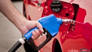 gasolina
