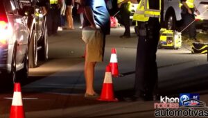 honolulu policia (3)