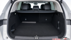 leapmotor c10 reev 5