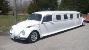 limousine 19