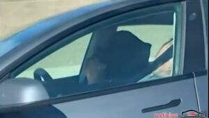 motorista dormindo volante tesla