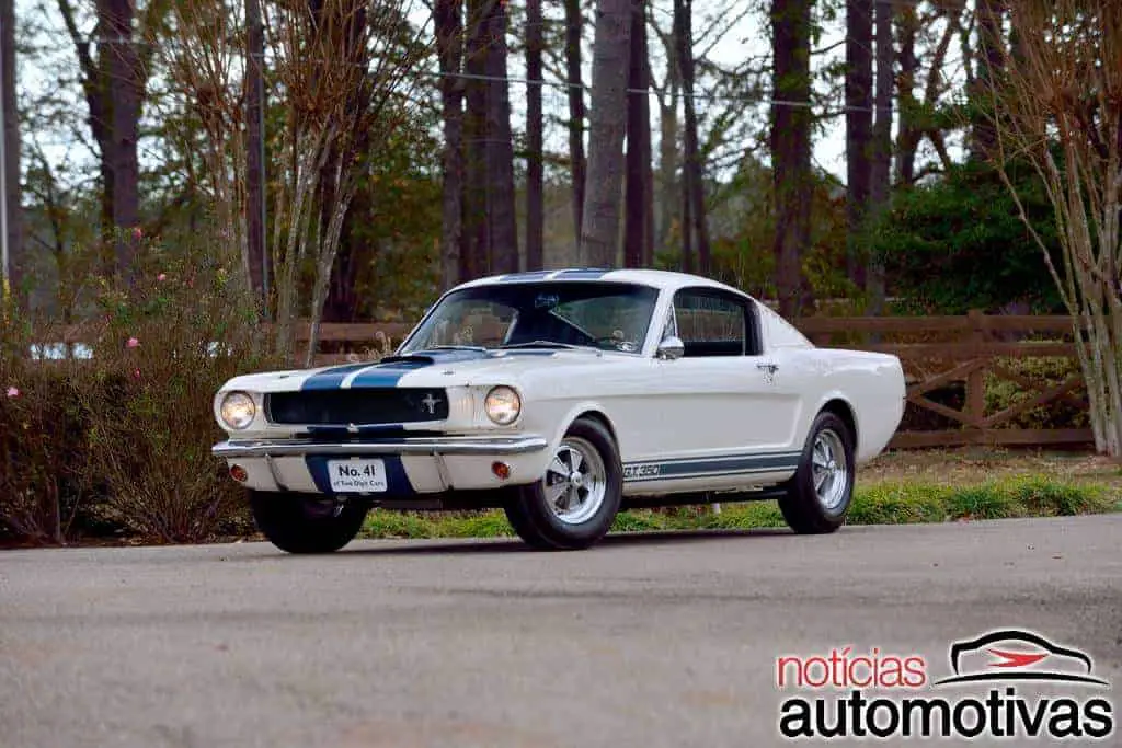 mustang shelby 3