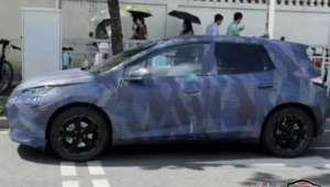 novo byd dolphin camuflado (1)