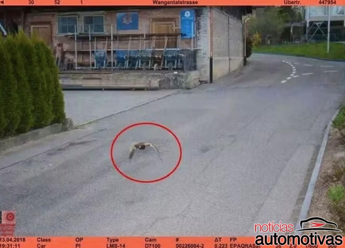 pato radar (2)