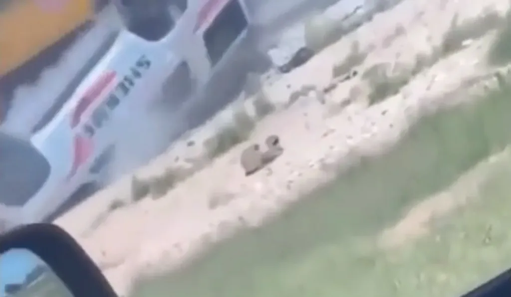 policial-trem-3 VÍDEO: Policial apressado se esquece do outro trem