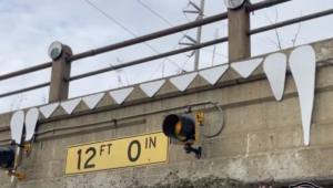 ponte big penny