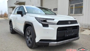 rav4 china 1