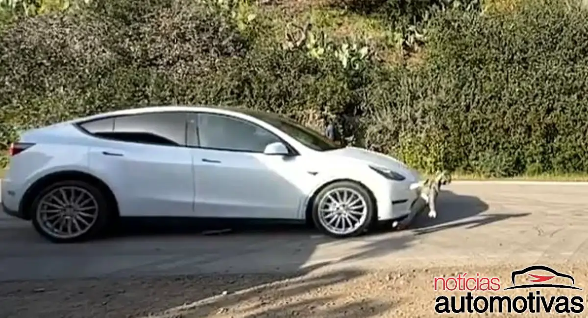tesla fsd boneco teste (3)