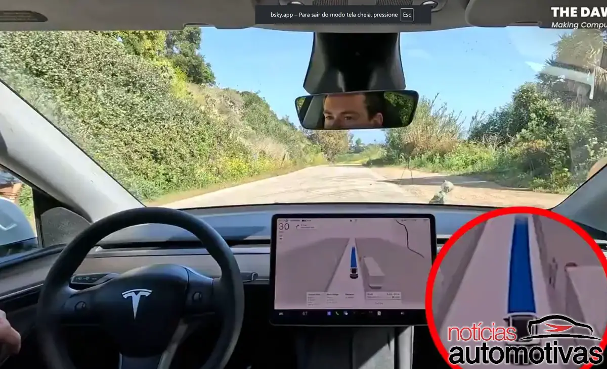 tesla fsd boneco teste (4)