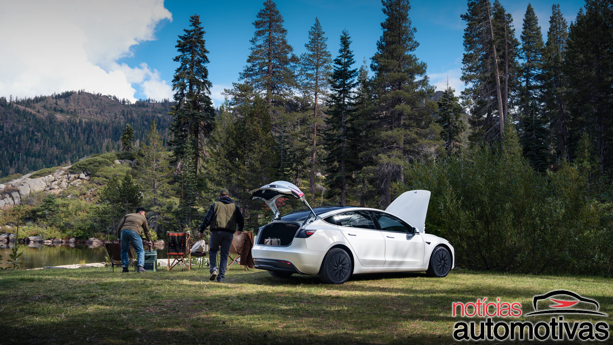tesla model 3 standard (17)