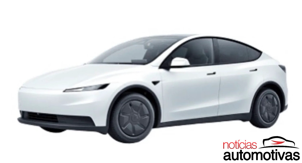 tesla model y popular 1
