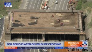 travessia de fauna california (1)