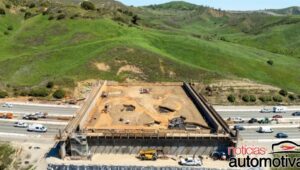 travessia de fauna california (2)