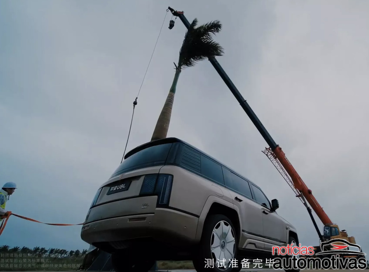 yangwang u8l palmeira teste (3)