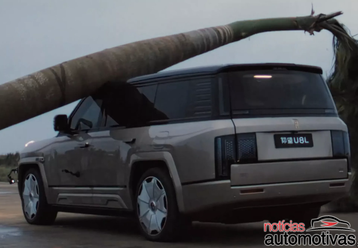 yangwang u8l palmeira teste (5)